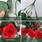 2PCS 3.3Ft Artificial Hanging Rose Vines – Red Flower Garland for Home, Garden, Wedding, Indoor & Outdoor Decor, Valentine’s Day Gift